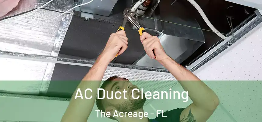  AC Duct Cleaning The Acreage - FL