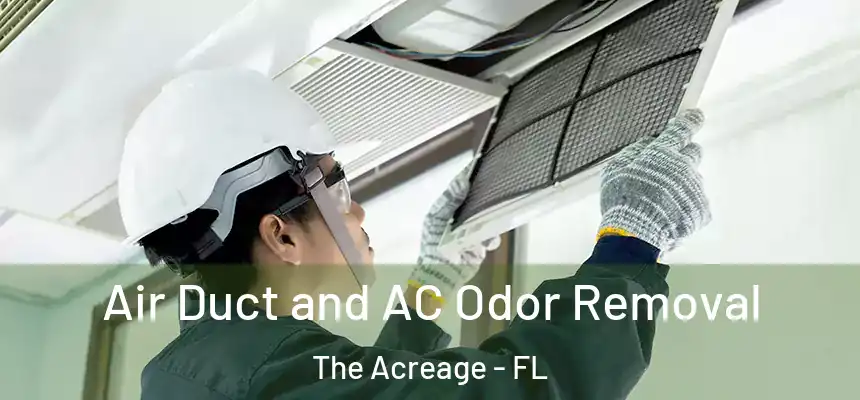  Air Duct and AC Odor Removal The Acreage - FL