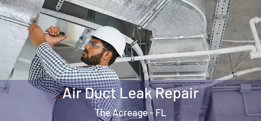  Air Duct Leak Repair The Acreage - FL