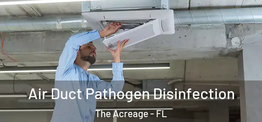  Air Duct Pathogen Disinfection The Acreage - FL