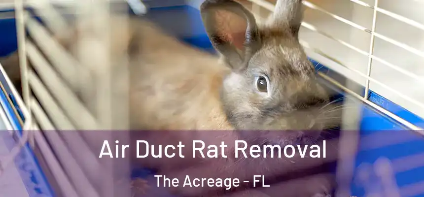  Air Duct Rat Removal The Acreage - FL