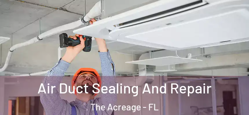  Air Duct Sealing And Repair The Acreage - FL