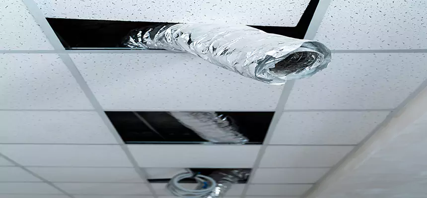 Our Air Duct Pet Hair Removal Services in The Acreage, FL