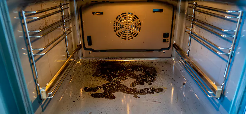 Our Dryer Vent Mold Cleaning Services in The Acreage, FL