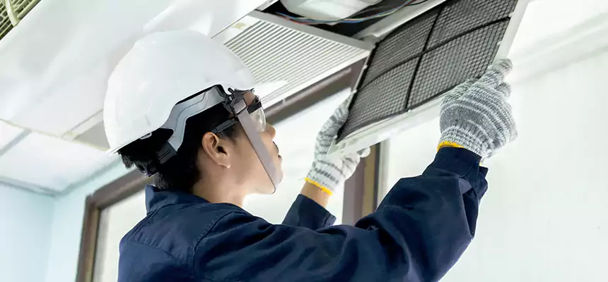 Our Mold & Mildew Removal from Air Ducts Services in The Acreage, FL