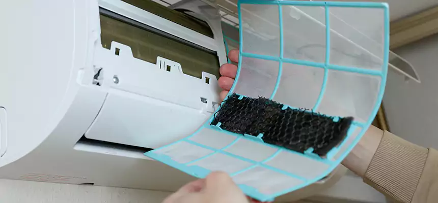 Gentle Ductwork Odor-Control Pet Dander Duct Cleaning in The Acreage, FL