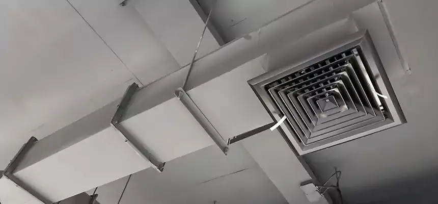 Our Rodent Droppings In Vents Services in The Acreage, FL