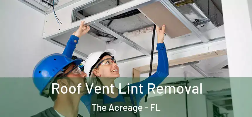  Roof Vent Lint Removal The Acreage - FL
