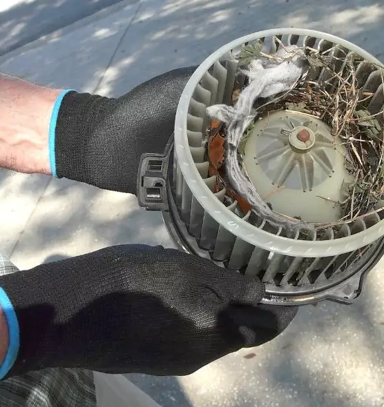 About Air Duct Mice Removal in The Acreage, FL