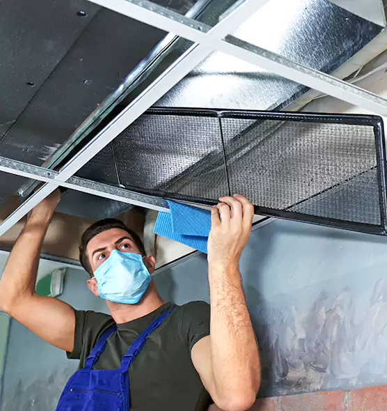 Professional Air Duct Pollen Cleaning in The Acreage, FL