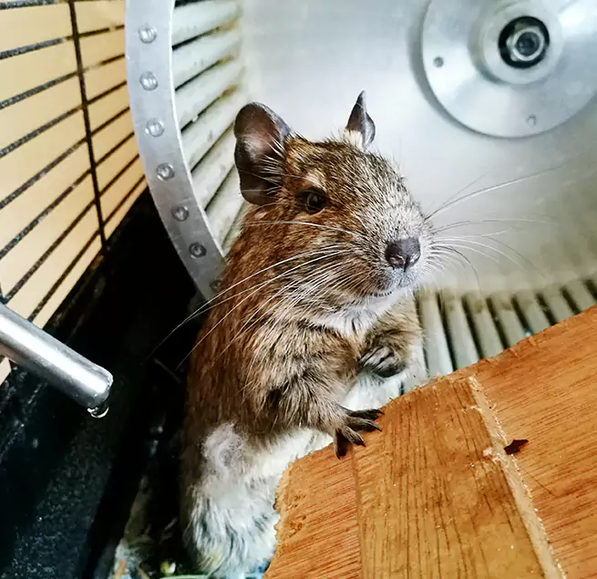 Why Homeowners & Businesses Trust Us The Acreage, FL