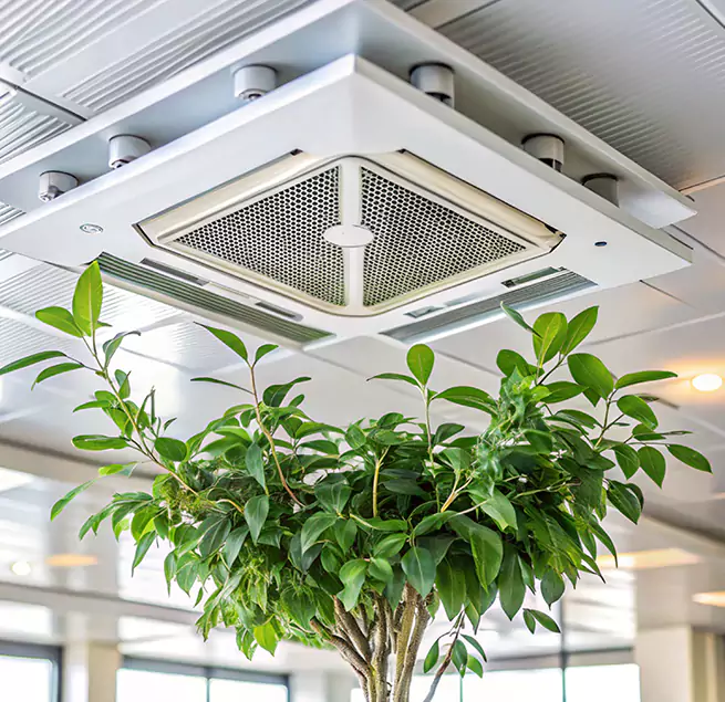 Why Homeowners & Businesses Trust Us in The Acreage, FL