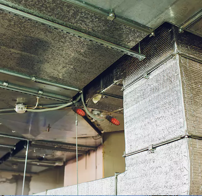 Why Homeowners & Businesses Trust Us The Acreage, FL?